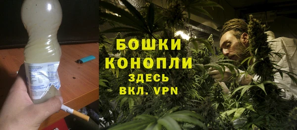 гашик Карпинск