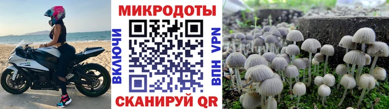 Галлюциногенные грибы MAGIC MUSHROOMS  закладка  Саки 